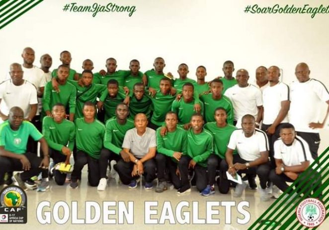 Golden Eaglets On The Rise Again