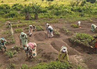 5 Million Farmers Register For Fertiliser Subsidy Across Nigeria