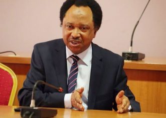 NFF Must Work Hard To Change Football Mentality In Nigeria – Shehu Sani