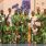 Nigeria Emerges Champions of 2023 African Zone 3 U-21 Volleyball Nations Championship