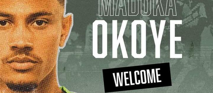Super Eagle’s Goalkeeper Maduka Okoye Joins Udinese On A Three-year Deal
