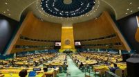 UNGA 2024: Vivacity Development Emphasizes Nigeria’s Critical Role In Climate Change, Future Work