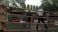 Enugu State Boxing Association Holds Memorial Competition in honour of Late Chairman