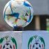 NPFL Final Day: Plateau United, Kun Kalifat, Enyimba, Remo Stars, Tornadoes, 3 Others May Be Relegated Today