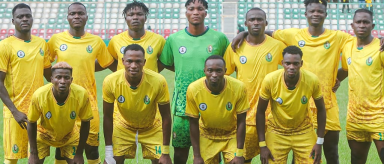 NPFL27: Insurance Seek First Away Win in Kano Against Ranchers Bees